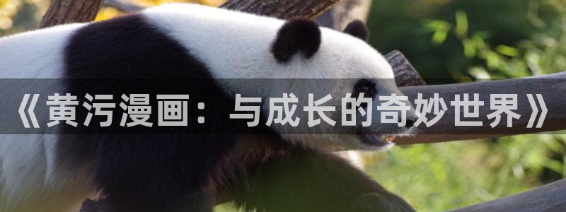 虫虫漫画全集：《黄污漫画：与成长的奇妙世界》