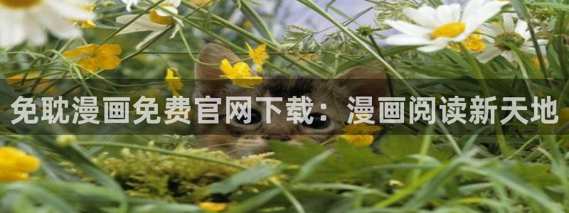 虫虫漫画官方页面免费漫画seo：免耽漫画免费官网下载：漫画阅读新天地