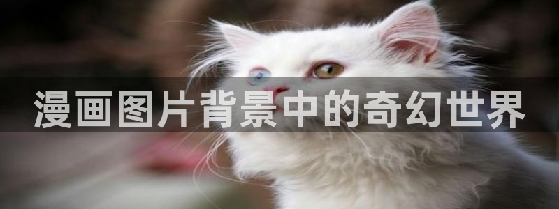 虫虫漫画免费漫画入口在哪里可以找到：漫画图片背景中的奇幻世界