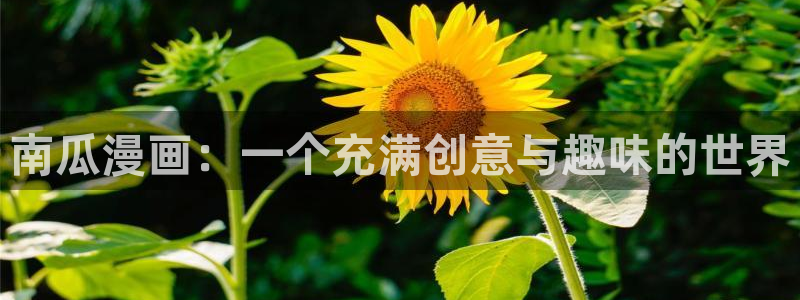 虫虫漫画hh：南瓜漫画：一个充满创意与趣味的世界