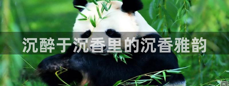虫虫漫画最新：沉醉于沉香里的沉香雅韵