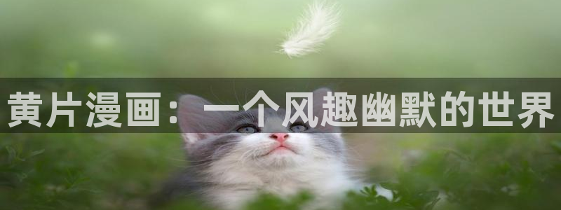 虫虫漫画页面免费漫画入口弹：黄片漫画：一个风趣幽默的世界